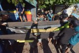 Pemerhati satwa dilindungi menggotong lumba-lumba hidung botol (Tursiops truncatus) saat proses evakuasi menuju tempat konservasi di Pantai Mertasari, Sanur, Denpasar, Bali, Selasa (27/4/2021). Balai Konservasi Sumber Daya Alam (BKSDA) Bali mengevakuasi tujuh ekor lumba-lumba hidung botol yang dimanfaatkan untuk pertunjukan atraksi di keramba besar milik salah satu perusahaan di kawasan Pantai Mertasari setelah sempat viral karena aksi artis Lucinta Luna menunggangi lumba-lumba saat berlibur di tempat itu. ANTARA FOTO/Nyoman Hendra Wibowo/nym.