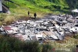 TNI-Polri harus lebih tegas tindak KKB di Papua