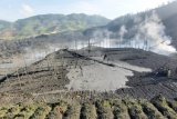 Wisatawan agar tidak mendekati Kawah Sileri