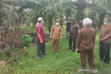 Bupati Mukomuko Sapuan bersama Kejari Rudi Iskandar dan Kadis Perkim meninjau langsung lokasi yang akan dibangun untuk alun-alun dan perumahan Kejaksaan Negeri Mukomuko di lahan seluas sekitar 10.816 M2 yang berlokasi tak jauh dari komplek perkantoran Pemkab Mukomuko. (ADV)