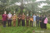 Bupati Mukomuko Sapuan bersama Kejari Rudi Iskandar dan Kadis Perkim meninjau langsung lokasi yang akan dibangun untuk alun-alun dan perumahan Kejaksaan Negeri Mukomuko di lahan seluas sekitar 10.816 M2 yang berlokasi tak jauh dari komplek perkantoran Pemkab Mukomuko. (ADV)