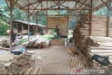 Dampak pandemi COVID-19 picu pendapatan industri kayu Sulsel anjlok