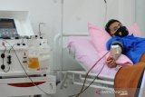 Terapi plasma konvalesen perlu persyaratan agar efektif