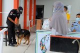 Antisipasi narkoba masuk Rutan, anjing pelacak disiagakan