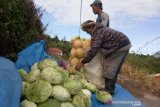 Kembali Bekerja