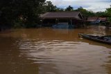 Banjir kembali terjadi di tujuh desa di Kecamatan Kapuas Tengah