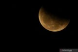 Fase gerhana bulan total perigee atau Super Blood Moon terlihat di Malang, Jawa Timur, Rabu (26/5/2021). Lembaga Penerbangan dan Antariksa Nasional (LAPAN) mencatat  fenomena fase gerhana bulan tersebut berlangsung dengan durasi parsialitas selama 3 jam 8 menit 12 detik. Antara Jatim/Ari Bowo Sucipto/zk