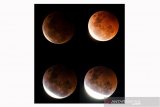 Foto kolase fenomena gerhana bulan total terlihat di Kubah Masjid Agung, Kota Tasikmalaya, Jawa Barat, Rabu (26/5/2021). Fenomena alam gerhana bulan total atau Super Blood Moon terjadi hanya setiap 195 tahun. ANTARA JABAR/Adeng Bustomi/agr