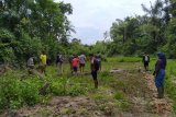 Makhluk jadi-jadian berwarna hitam dan berbau busuk yang hebohkan masyarakat di Palembayan, ternyata binatang ini