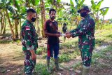 Satgas TNI Yonif 611 bantu bibit tanaman warga di perbatasan