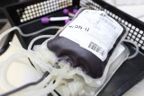 Penyintas thalassemia butuh  transfusi darah seumur hidup