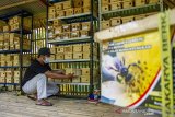 Warga memeriksa kotak berisi lebah madu Klanceng (Trigona Leaviceps) di Saung Klanceng, Desa Mekarjaya, Rawamerta, Karawang, Jawa Barat, Senin (31/5/2021). Warga yang bermitra dengan salah satu perusahaan penyedia lebah madu Klanceng tersebut memiliki 200 kotak dengan keuntungan mencapai Rp80 juta dalam satu kali panen madu per empat bulan. ANTARA JABAR/M Ibnu Chazar/agr