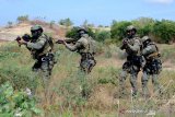 Sejumlah Prajurit Intai Amfibi (Taifib) 2 Marinir melaksanakan manuver saat latihan fastrope dan stabo  di Pusat Latihan Pertepuran (Puslatpur) Korps Marinir 5 Baluran, Karangtekok, Situbondo, Jawa Timur. Rabu (02/06/2021). Latihan tersebut merupakan bagian dari Latihan Satuan Dasar (LSD) II TW.II Aspek Darat TA. 2021 yang bertujuan untuk memelihara serta meningkatkan kemampuan dan profesionalisme prajurit Yontaifib 2 Marinir guna melaksanakan fungsi dan tugasnya sebagai pasukan khusus TNI AL. Antara Jatim/Serma Mar Kuwadi/zk