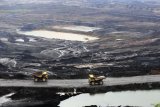 Pemerintah diminta perketat aturan DMO terkait harga batu bara melonjak