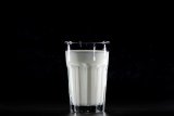 Berapa porsi minum susu orang dewasa?