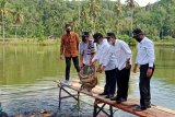 Waktu kunjungi budidaya ikan tawar Rao Selatan Pasaman Menteri KP apreasiasi nilai produksi bisa Rp1 triliun/tahun (Video)