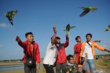Komunitas 'Parrot Lovers Pamekasan' menerbangkan berbagai jenis burung paruh bengkok di areal pegaraman Desa Bunder, Pamekasan, Jawa Timur, Minggu (6/6/2021). Melatih burung paruh bengkok secara teratur dimaksudkan untuk menambah kekuatan terbang dengan durasi lama  sekaligus sebagai sarana silaturahim antaranggota. Antara Jatim/Saiful Bahri/zk