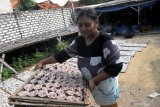 Seorang ibu menyiapkan ikan untuk dikeringkan di Desa Branta Pesisir,  Pamekasan, Jawa Timur, Selasa (8/6/2021). Dalam sebulan terakhir produksi ikan kering di daerah itu turun dari 0.8-2.1 ton menjadi 100-200 kg per hari, karena minimnya tangkapan nelayan akibat cuaca. Antara Jatim/Saiful Bahri/zk