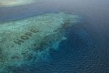 Hope Reef ikutkan masyarakat restorasi terumbu karang via film