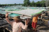 Pekerja menjemur ikan teri nasi di Desa Pegagan, Pamekasan, Jawa Timur, Rabu (9/6/2021). Dalam sebulan terakhir harga teri nasi ekspor di tingkat nelayan naik dari Rp25.000 menjadi Rp40.000 per kg, yang disebabkan tingginya permintaan pasar ekspor. Antara Jatim/Saiful Bahri/zk
