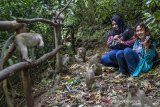 Pengunjung memberi makan Monyet Ekor Panjang (Macaca fascicularis) di kawasan Gua Dayueh, Desa Tamansari, Karawang, Jawa Barat, Kamis (10/6/2021). Menteri Pariwisata dan Ekonomi Kreatif Sandiaga Salahudin Uno mengatakan kebangkitan pariwisata dimulai dari desa wisata yang banyak dikembangkan masyarakat guna mendorong pembangunan daerah dan kesejahteraan masyarakat. ANTARA JABAR/M Ibnu Chazar/agr