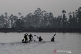 Sejumlah atlet Dayung menjalani sesi latihan di air jelang Sea Games 2021 di Pemusatan Latihan Nasional Dayung di Situ Cileunca, Pangalengan, Kabupaten Bandung, Jawa Barat, Kamis (10/6/2021). Pengurus Besar Persatuan Olahraga Dayung Seluruh Indonesia menargetkan perolehan medali pada ajang SEA Games ke-31 2021 di Vietnam sebanyak 16 medali emas untuk nomor Rowing dan Canoe. ANTARA JABAR/M Agung Rajasa/agr