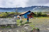 Pemkab Puncak Jaya tingkatkan pangan lokal melalui pemberdayaan warga OAP