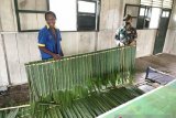 Satgas TNI latih keterampilan buat atap rumah untuk warga perbatasan RI-PNG