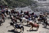 Pemilik menunggu wisatawan untuk naik kuda di Gunung Bromo, Probolinggo, Jawa Timur, Minggu (13/6/2021).. Para penunggang kuda tersebut menawarkan jasanya kepada wisatawan yang ingin menuju puncak Gunung Bromo dengan tarif Rp50 ribu sampai Rp150 ribu. Antara Jatim/Umarul Faruq/zk