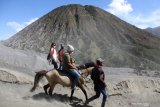 Pemilik mengantarkan pengunjung berkuda di Gunung Bromo, Probolinggo, Jawa Timur, Minggu (13/6/2021). Para penunggang kuda tersebut menawarkan jasanya kepada wisatawan yang ingin menuju puncak Gunung Bromo dengan tarif Rp50 ribu sampai Rp150 ribu. Antara Jatim/Umarul Faruq/zk