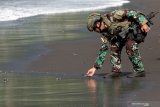 Prajurit Batalyon Intai Amfibi (Yontaifib) Korps Marinir TNI AL melepas tukik (anak penyu) di pantai Lampon pada penutupan latihan yang bersandi Reconex 21-II di Pusat Latihan Pertempuran Marinir (Puslatpurmar) 7 Lampon, Banyuwangi, Jawa Timur, Rabu (16/6/2021). Penutupan latihan bersama Reconex21-II itu ditandai dengan pelepasliaran tukik sebagai upaya menjaga kelestarian penyu yang terancam punah. Antara Jatim/Budi Candra Setya/zk