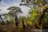 Peserta ekspedisi meratus menikmati pemandangan di puncak Periuk Pegunungan Meratus, Kabupaten Hulu Sungai Tengah, Kalimantan Selatan, Kamis (17/6/2021). Kabupaten Hulu Sungai Tengah memiliki potensi wisata alam yang dapat dikembangkan dan menjadi daya tarik para wisatawan dengan minat khusus seperti menjalajah hutan hujan tropis Pegunungan Meratus yang menyuguhkan keanekaragaman hayati khas hutan hujan tropis. Foto Antaranews Kalsel/Bayu Pratama S.