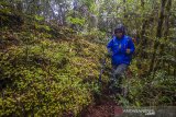 Peserta ekspedisi meratus melintas di hutan lumut di puncak Periuk Pegunungan Meratus, Kabupaten Hulu Sungai Tengah, Kalimantan Selatan, Kamis (17/6/2021). Kabupaten Hulu Sungai Tengah memiliki potensi wisata alam yang dapat dikembangkan dan menjadi daya tarik para wisatawan dengan minat khusus seperti menjalajah hutan hujan tropis Pegunungan Meratus yang menyuguhkan keanekaragaman hayati khas hutan hujan tropis. Foto Antaranews Kalsel/Bayu Pratama S.