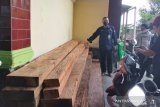Petugas TNKS wilayah III Bengkulu-Sumsel amankan 1,5 meter kubik kayu tak bertuan