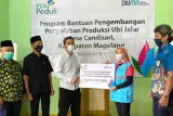 PLN Magelang bantu UMKM alat pengolahan ubi jalar