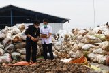 Menteri Pertanian Syahrul Yasin Limpo (kiri) berbincang dengan Direktur Utama PT Asia Prima Konjac Pin Haris saat meninjau pabrik pengolah porang tersebut di Kabupaten Madiun, Jawa Timur, Kamis (17/6/2021). Menteri Pertanian Syahrul melakukan kunjungan kerja ke Kabupaten Madiun antara lain meninjau pabrik pengolah porang PT Asia Prima Konjac dan bertemu petani porang. Antara Jatim/Siswowidodo/zk