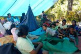 Sejumlah warga berada di tenda darurat di pengungsian. Sebanyak 7.227 warga di kecamatan Tehoru, Kabupaten Maluku Tengah masih bertahan di dataran tinggi untuk mengungsikan diri karena trauma usai diguncang gempa dengan magnitudo 6.1 pada Rabu (16/6). (ANTARA/HO-BPBD Malteng)