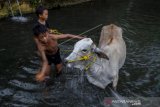 Anak Putus Sekolah Karena Pandemi