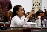 Legislator Palangka Raya ajak generasi milenial promosikan batik Kalteng