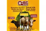Pemkab Sinjai kembangkan aplikasi La Sapi di masa pandemi