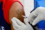 Seorang pria bertato mendapat suntikan vaksin saat kegiatan Serbuan Vaksinasi COVID-19 massal di Lapangan Merdeka Kota Ambon, Provinsi Maluku, Jumat (2/7/2021). Berdasarkan data Kepolisian Daerah Maluku, program Serbuan Vaksinasi Masaal di 61 titik di Maluku sejak 26 Juni sudah mencapai 14.000 orang dan melebih target yang ditetapkan untuk Maluku yakni 8.000 orang. (ANTARA FOTO/FB Anggoro)