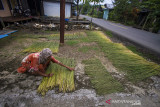 Perajin menjemur bahan purun (rumput gambut) di Desa Pabaungan, Kabupaten Tapin, Kalimantan Selatan, Senin (4/7/2021). Perajin setempat mengaku kesulitan mendapatkan bahan baku purun akibat alih fungsi lahan rawa di kawasan tersebut yang menjadi perkebunan sawit menyebabkan produksi kerajinan purun menurun. Foto Antaranews Kalsel/Bayu Pratama S.