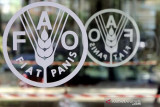 FAO mengapresiasi pertanian dan ketahanan pangan Indonesia selama pandemi