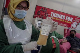 Donor plasma konvalesen
