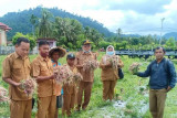 Dinilai mampu mengangkat perekonomian, Pemkab Pessel dukung petani budidaya bawang merah