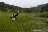 Destinasi Wisata Puncak Sigantang Sira. Wisatawan menikmati panorama alam dan laut Samudera Hindia dari atas Puncak Sigantang Sira di Trumon, Aceh Selatan, Aceh, Rabu (14/7/2021). Destinasi wisata Puncak Sigantang Sira dari Kabupaten Aceh Selatan yang menjadi salah satu nominasi Anugerah Pesona Indonesia (API) 2021. Antara Aceh/Irwansyah Putra