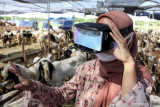 Pembeli mencoba pengalaman belanja ke kandang dengan menggunakan teknologi Virtual Reality di kawasan pasar kurban Merr Surabaya, Jawa Timur, Kamis (15/7/2021). Penjual hewan qurban menawarkan secara digital dengan aplikasi ternaknesia untuk pembelian hewan kurban dan belanja ke kandang dengan teknologi Virtual Reality (VR) selama masa Pemberlakuan Pembatasan Kegiatan Masyarakat (PPKM) Darurat. Antara Jatim/Umarul Faruq/zk