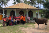 Mari Ber-Qurban di Tanah Timor NTT salurkan kurban di masjid pelosok