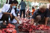 Pemeriksaan Kelayakan Daging Kurban. Tim dokter hewan kurban memeriksa hati dan daging kurban Idul Adha sebelum dibagikan kepada masyarakat di Gampong Ilie, Kecamatan Ulee Kareng, Banda Aceh, Selasa (20/7/2021). Dinas Pangan, Pertanian dan Kelautan Kota Banda Aceh bersama Fakultas Kedokteran Hewan mengerahkan tim untuk memeriksa daging hewan kurban yang layak untuk dikonsumsi warga. ANTARA/Irwansyah Putra