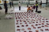 Distan Mataram menemukan 31 kasus cacing hati pada hewan kurban